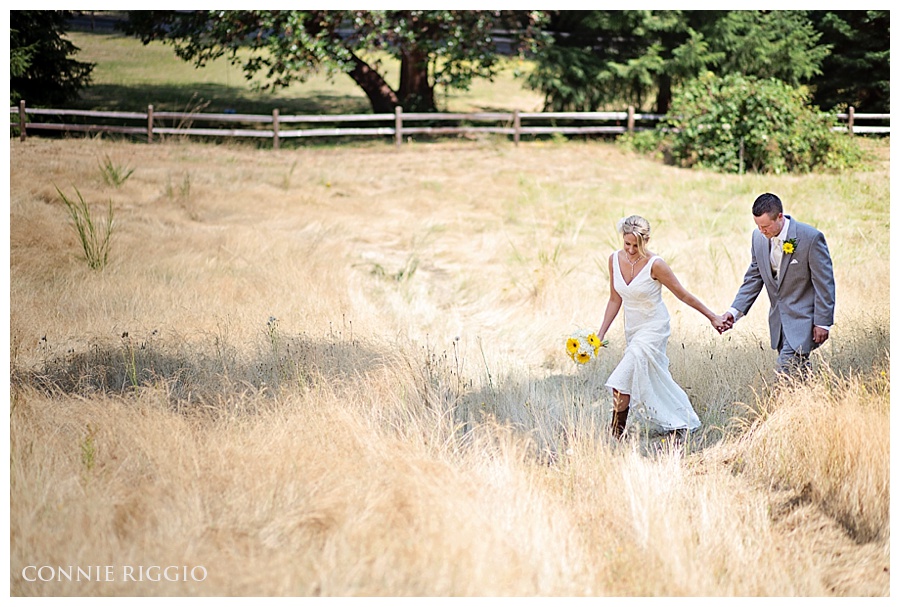 Wedding Gig Harbor Photographer Holly and Micky_0019.jpg