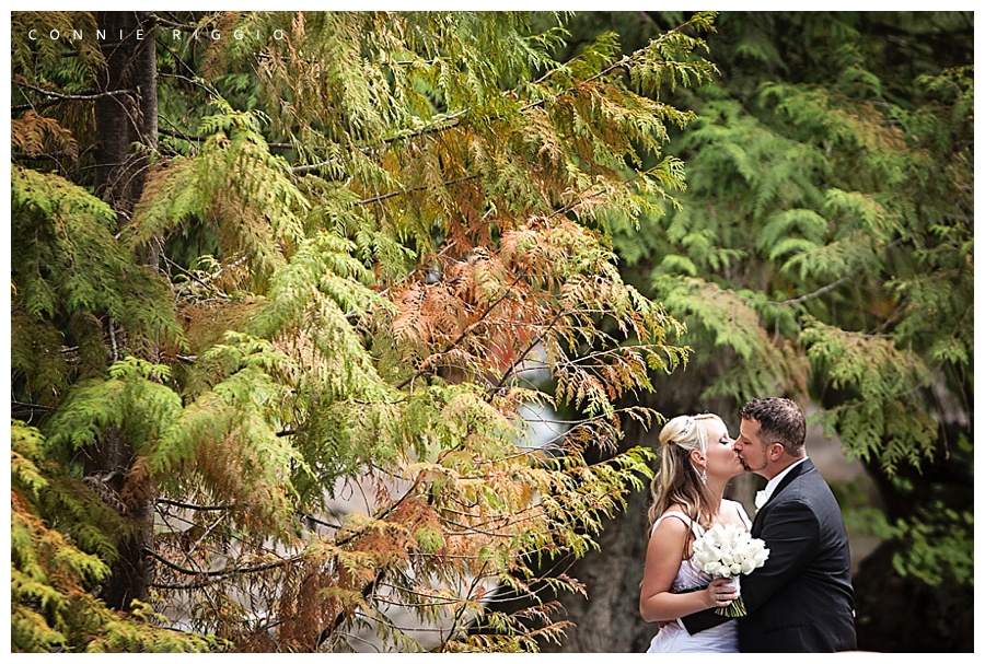 Summer Wedding Rock Creek Gardens Tacoma Puyallup Photographer Stephanie Bret_0020.jpg