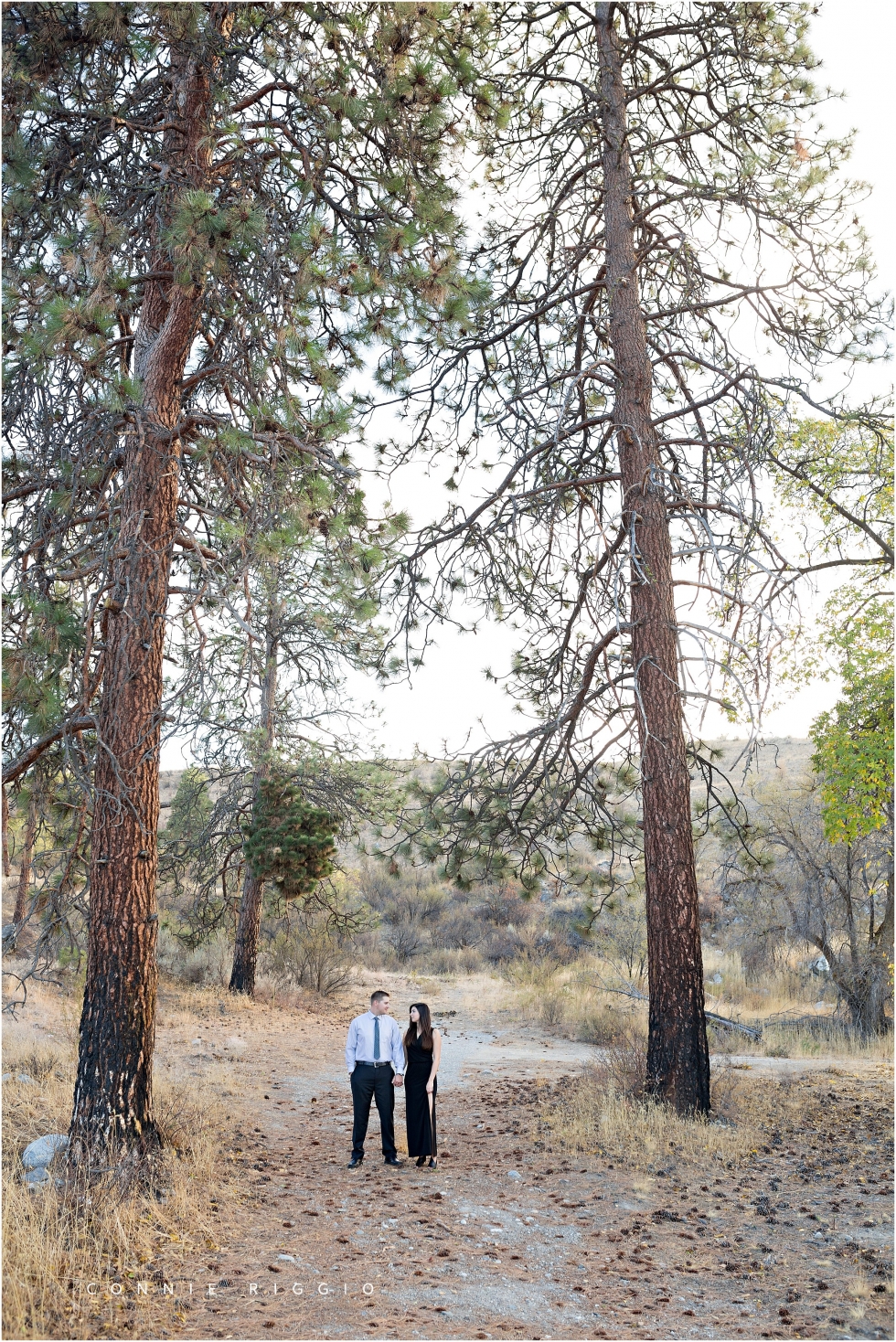 Engagement Tacoma Lake Chelan Thornewood Castle Photographer Photo Joely_0005.jpg